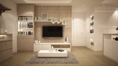 TV